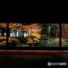 2016秋景色5（紅葉　大原　宝泉院1）