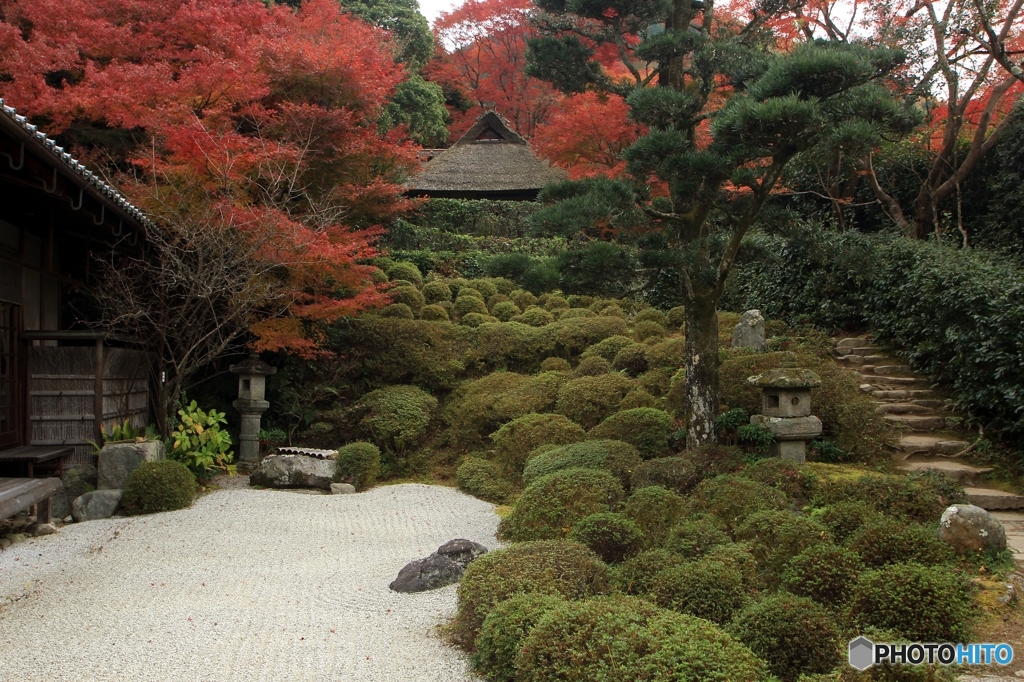 2015紅葉（金福寺1）