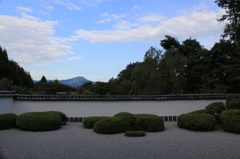 正伝寺・Blue1