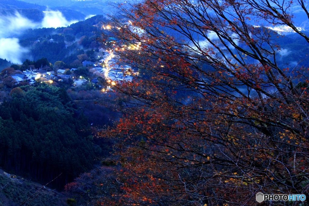 2015紅葉（吉野山）