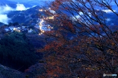 2015紅葉（吉野山）