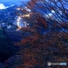2015紅葉（吉野山）