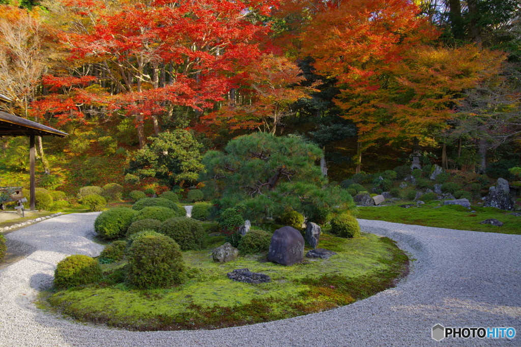 2019紅葉（曼殊院2）