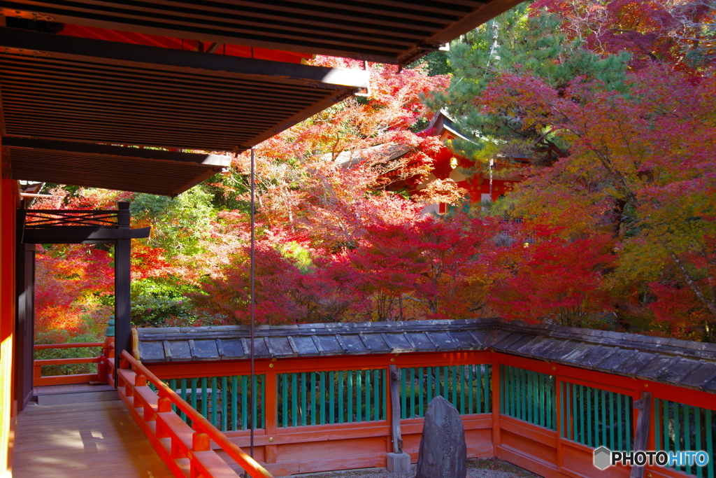 山科・毘沙門堂の紅葉2