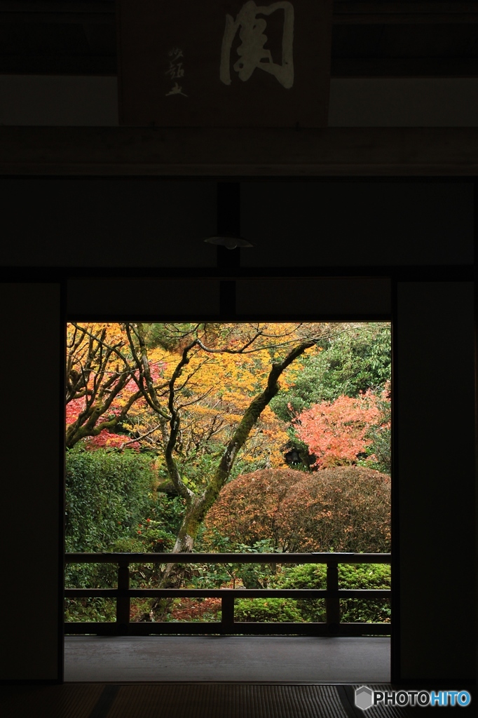 2015紅葉（高桐院1）