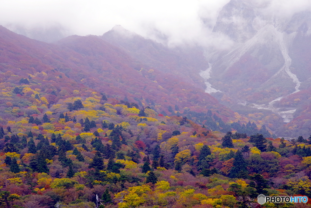 2019紅葉（大山1　南円台）