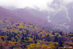 2019紅葉（大山1　南円台）