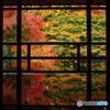 2018紅葉　旧竹林院