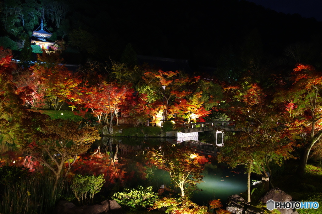 2018紅葉　永観堂2