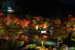 2018紅葉　永観堂2