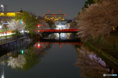 岡崎疎水1（’22京さくら）