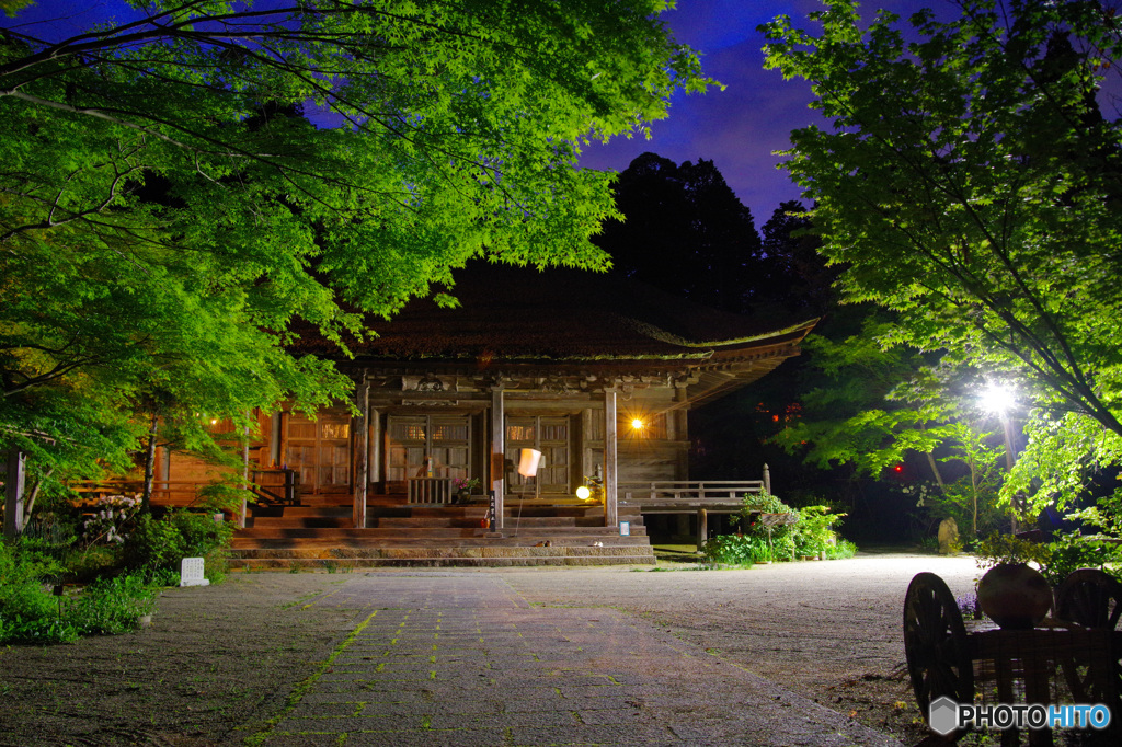 青もみじめぐり・長寿寺（ライトアップ２）