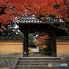 2017秋紅葉（秋篠寺1　東門）