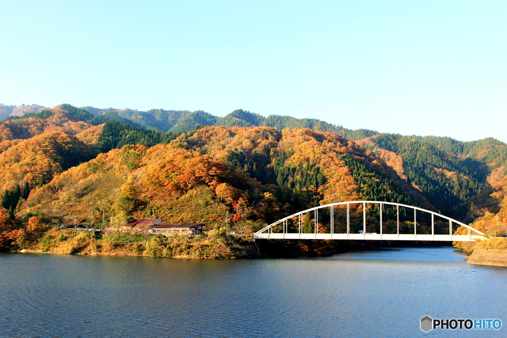 17秋紅葉 九頭竜湖 By ちょもらん Id 写真共有サイト Photohito