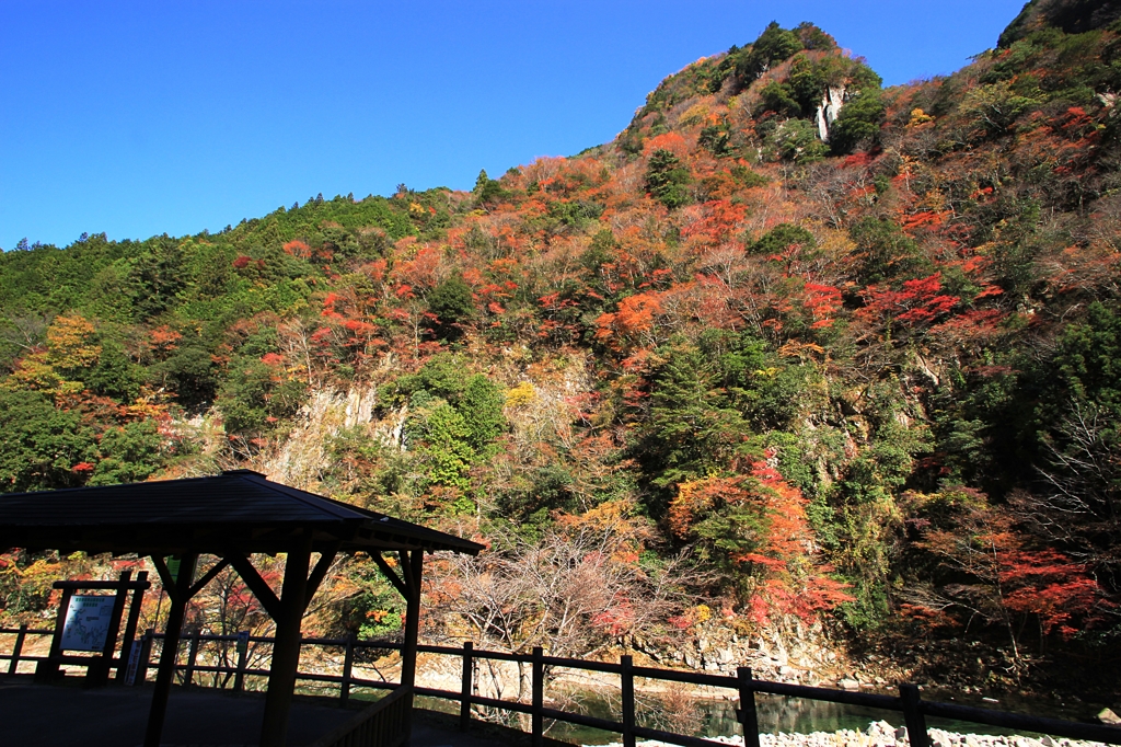 香落渓3（紅葉谷）