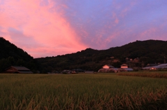 稲渕・棚田（2014アゲイン　夕景2）