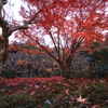 2014秋・終宴②（圓光寺散紅葉）