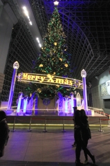 2014クリスマスイルミネーション①（JR京都駅クリスマスツリー１）