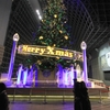 2014クリスマスイルミネーション①（JR京都駅クリスマスツリー１）