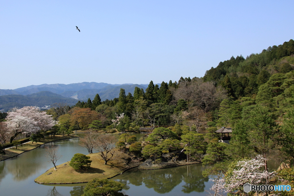 2018桜紀行（修学院離宮１）