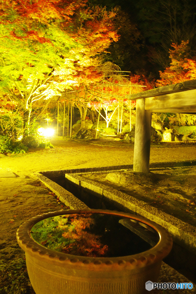 湖南三山の紅葉6（善水寺ライトアップ 映り込む三色紅葉 2022紅葉）
