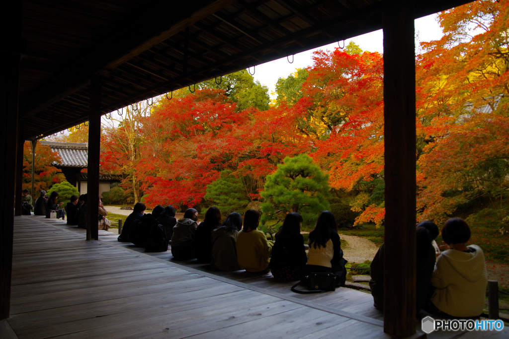 2021京の紅葉（天授庵８）