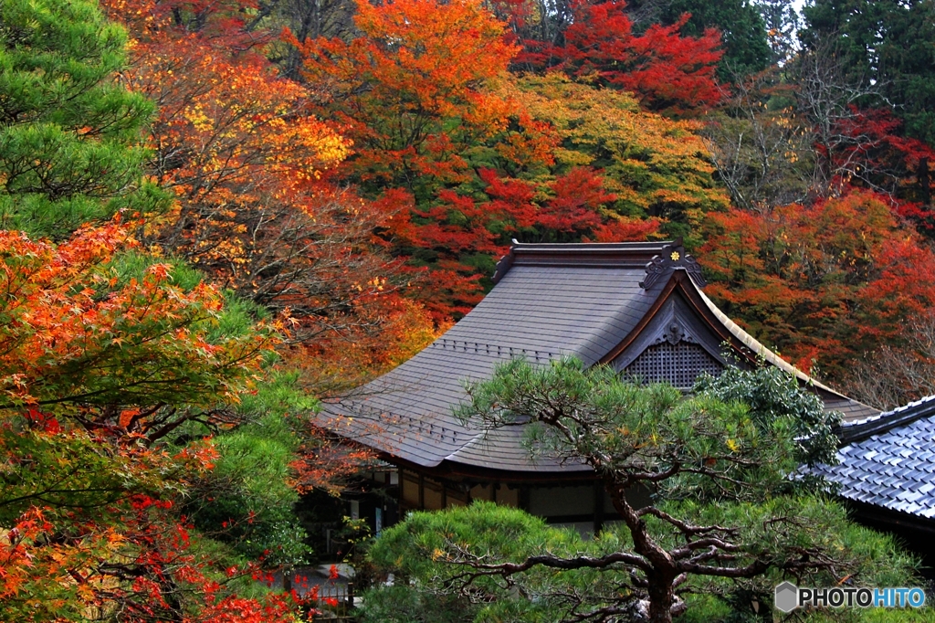 2015紅葉（百済寺1）