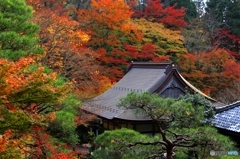 2015紅葉（百済寺1）