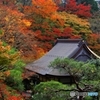 2015紅葉（百済寺1）