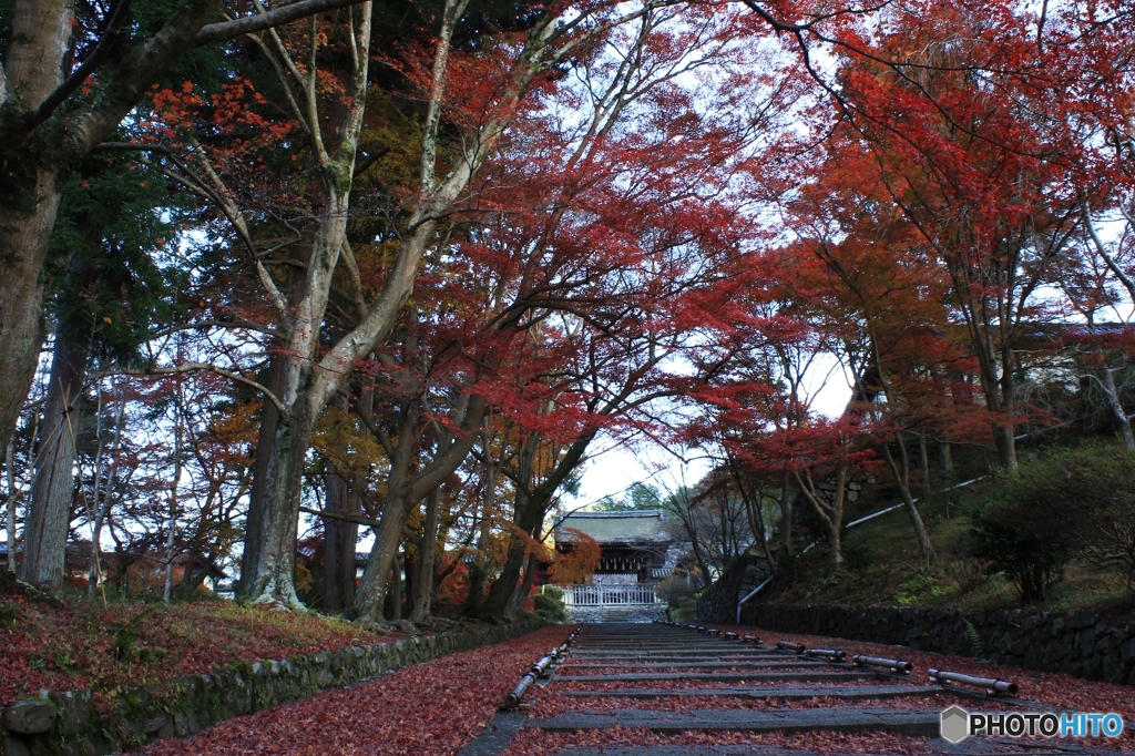 2015紅葉（毘沙門堂1）