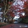 2015紅葉（毘沙門堂1）
