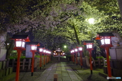 2021さくら紀行（六孫王神社）
