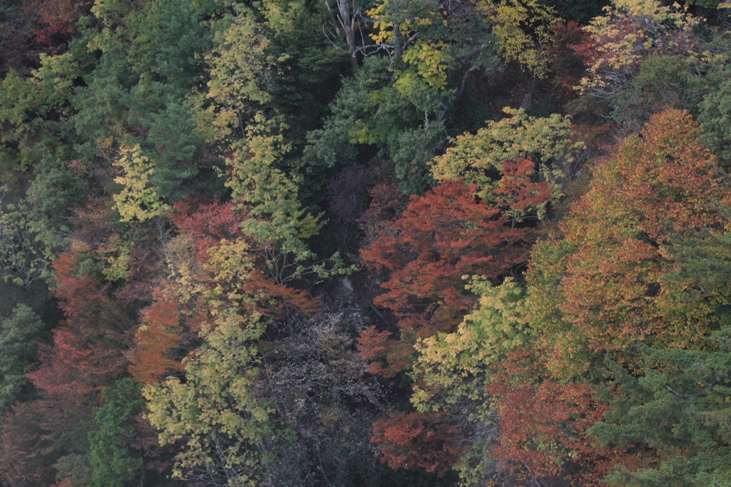 比良山系の錦秋②
