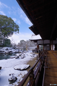 雪景2025・醍醐寺（三宝院・表書院回廊より三宝院庭園を望む3）