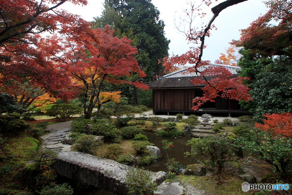 2016秋景色4（紅葉　修学院離宮1）