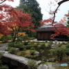 2016秋景色4（紅葉　修学院離宮1）