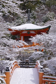 雪景2025・醍醐寺（弁天堂）