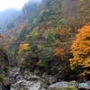 2015紅葉（みたらい渓谷1）