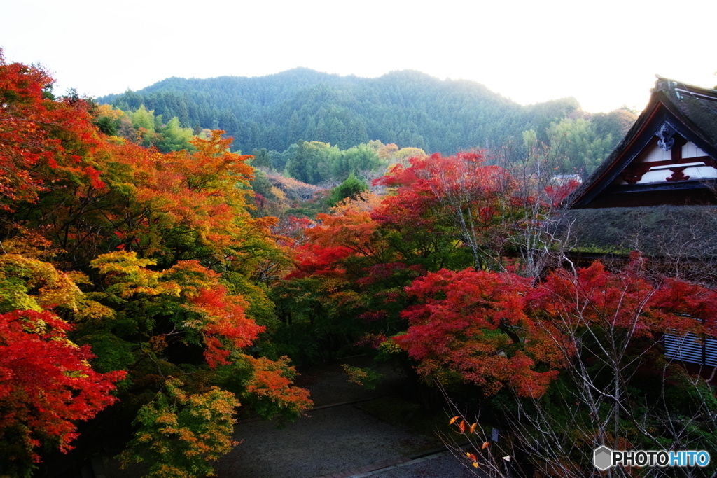 2018紅葉（談山神社3・神廟拝所東側）