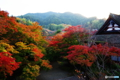 2018紅葉（談山神社3・神廟拝所東側）