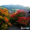2018紅葉（談山神社3・神廟拝所東側）