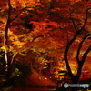 2018紅葉（北野天満宮ライトアップ３）