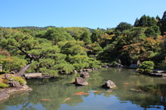 初秋の對流山荘3