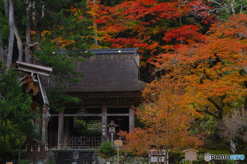 聖域との境界（2020京都紅葉　大悲山峰定寺）