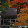 聖域との境界（2020京都紅葉　大悲山峰定寺）