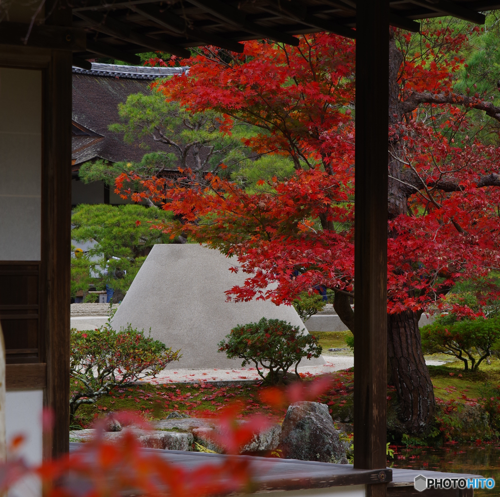 慈照寺銀閣の紅葉3（2020京都紅葉）