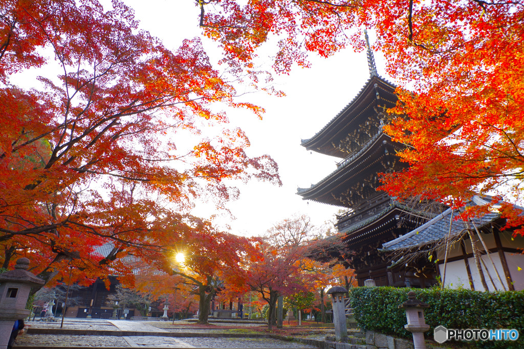 2021京の紅葉（真如堂）