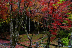 2018紅葉（鶏足寺3）