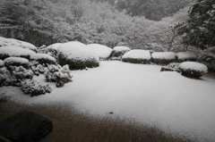 雪情景2015⑨(詩仙堂2)