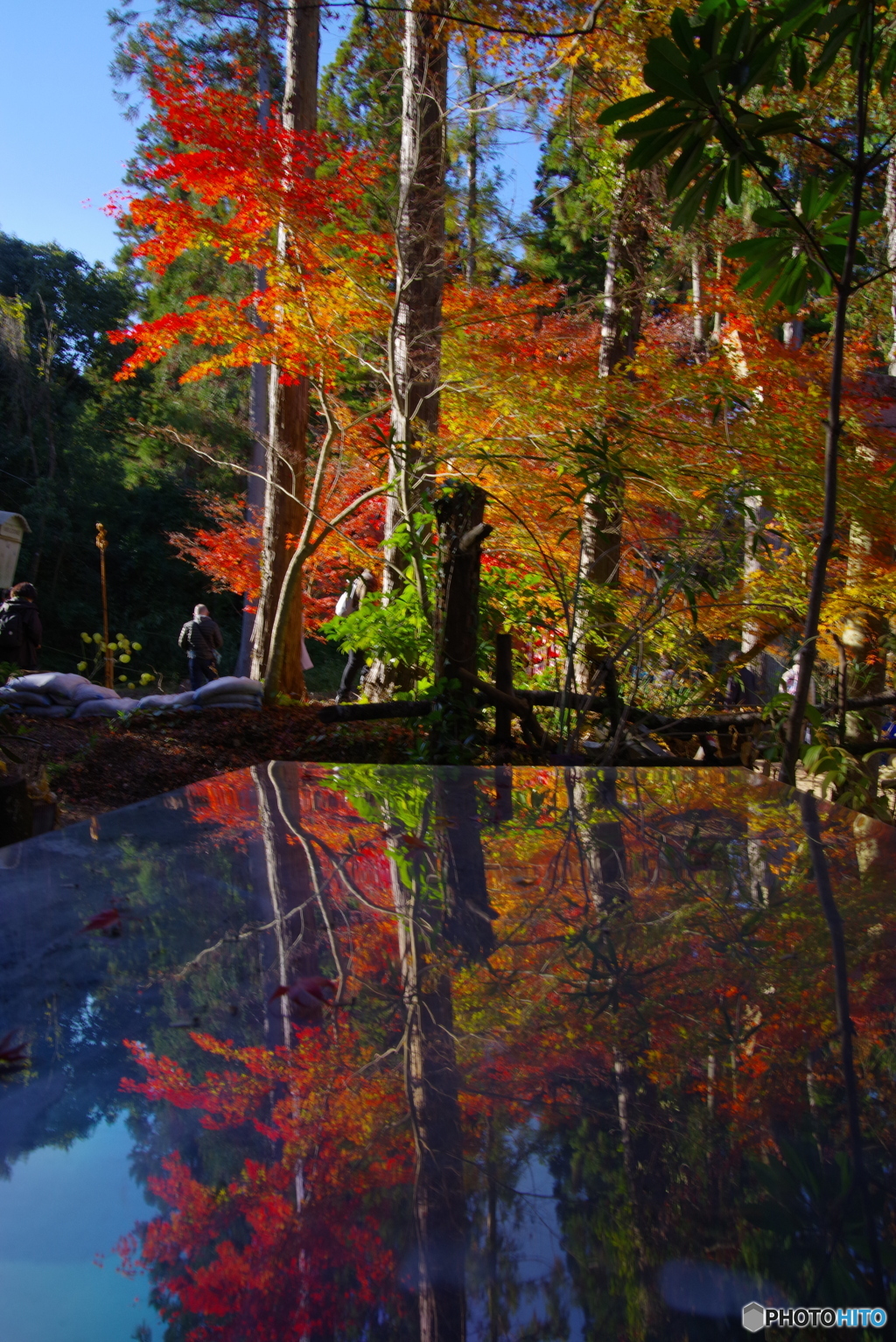 2021紅葉めぐり(湖南三山 長寿寺3)